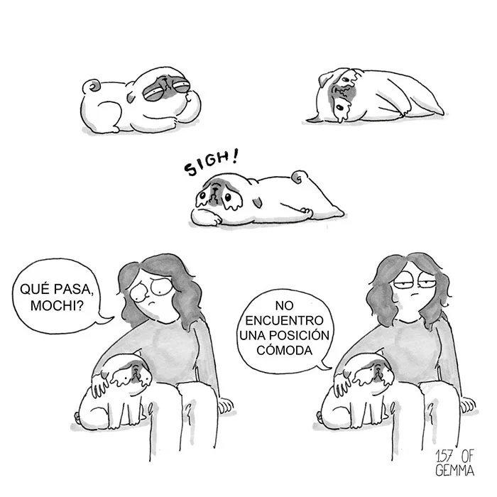 Perro se queja