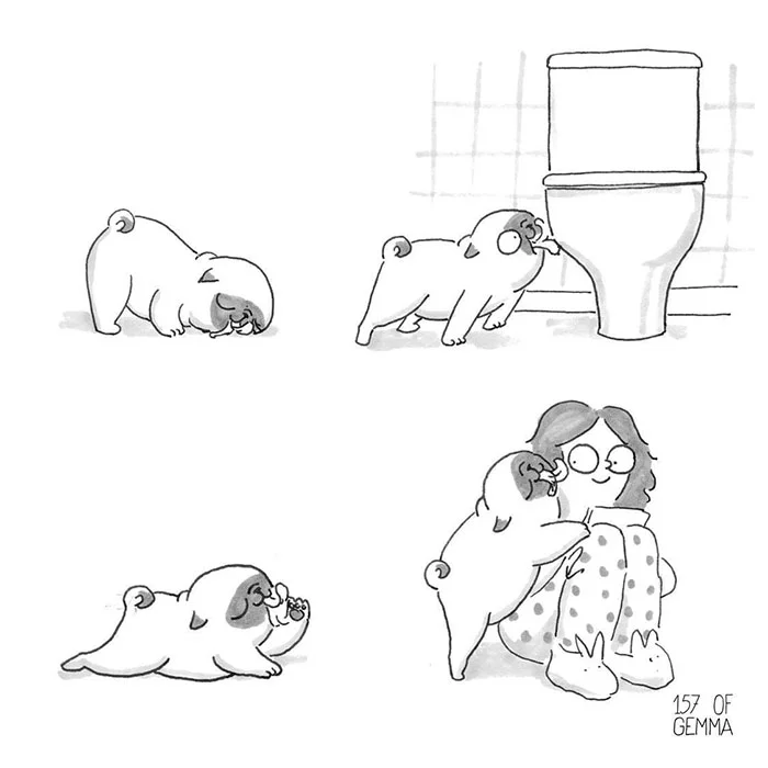 perro lamiendo