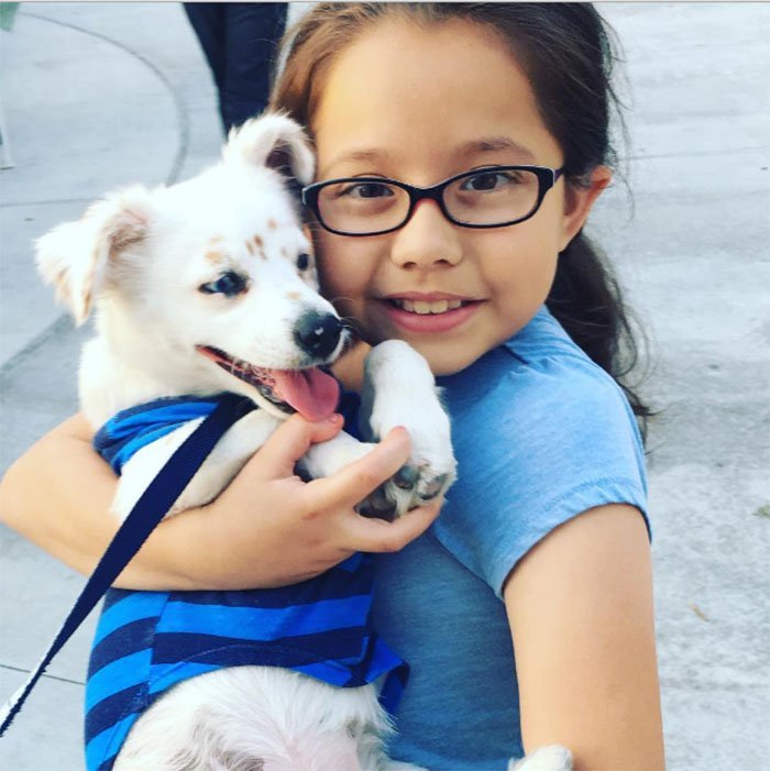 Niña enseña a su perro el lenguaje de señas