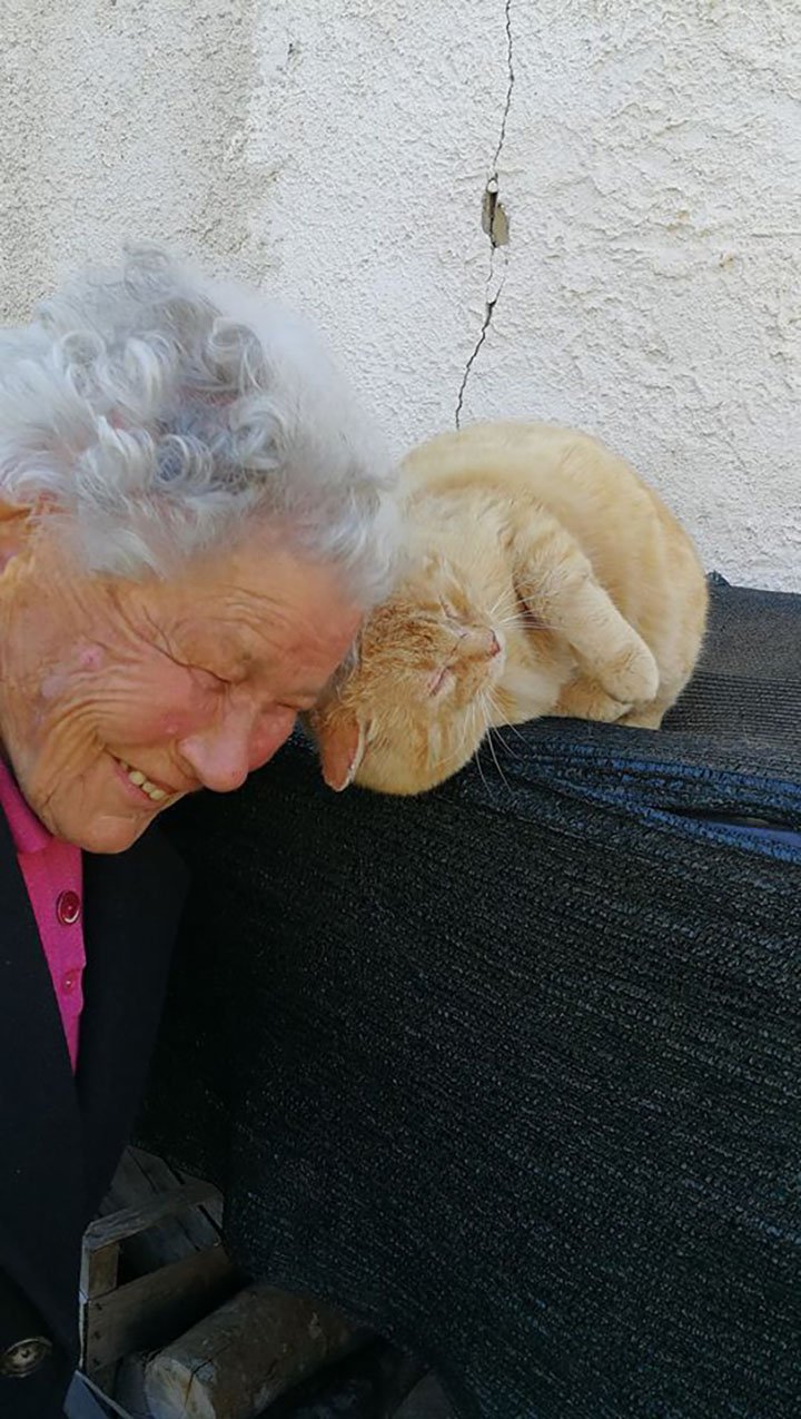 anciana encuentra a su gato desaparecido luego de años