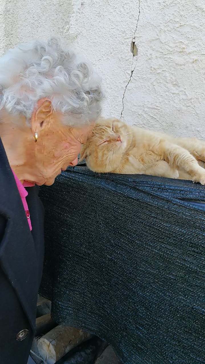 anciana y su gato desaparecido se reencuentran