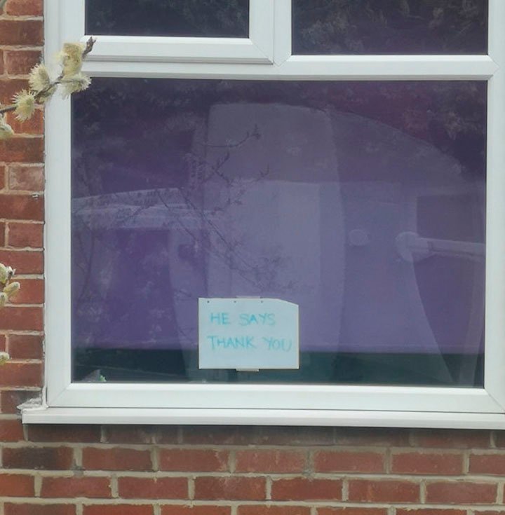 carteles para conocer las mascotas de los vecinos en las ventanas