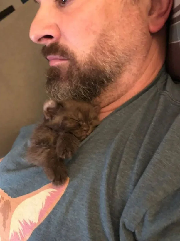 Gatito con patas torcidas y orejas de oso obtiene los padres adoptivos perfectos