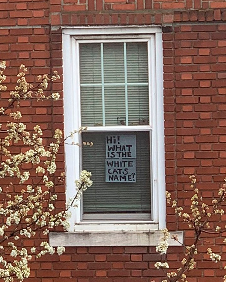 vecinos cuelgan letreros en las ventanas para conocerse