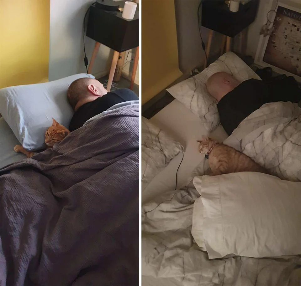 Tiger duerme con John Tiger duerme con John
