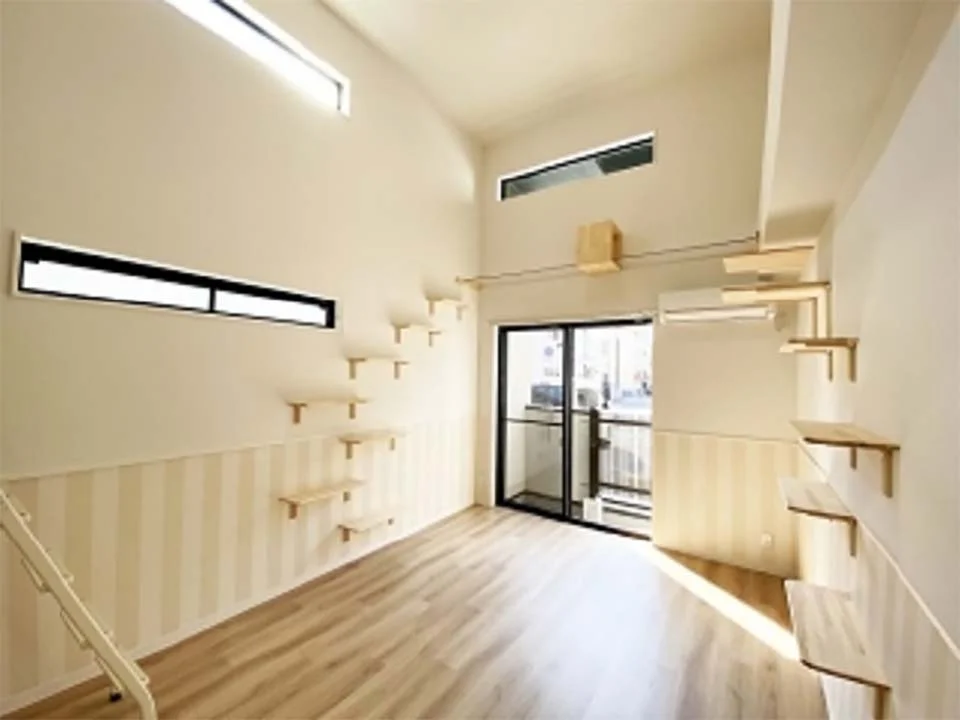 apartamento para gatos