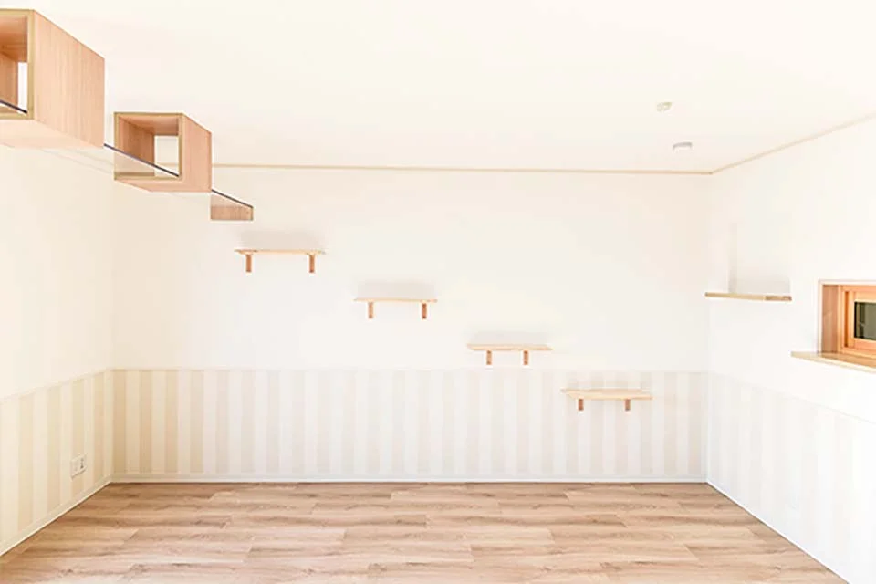 apartamentos para gatos