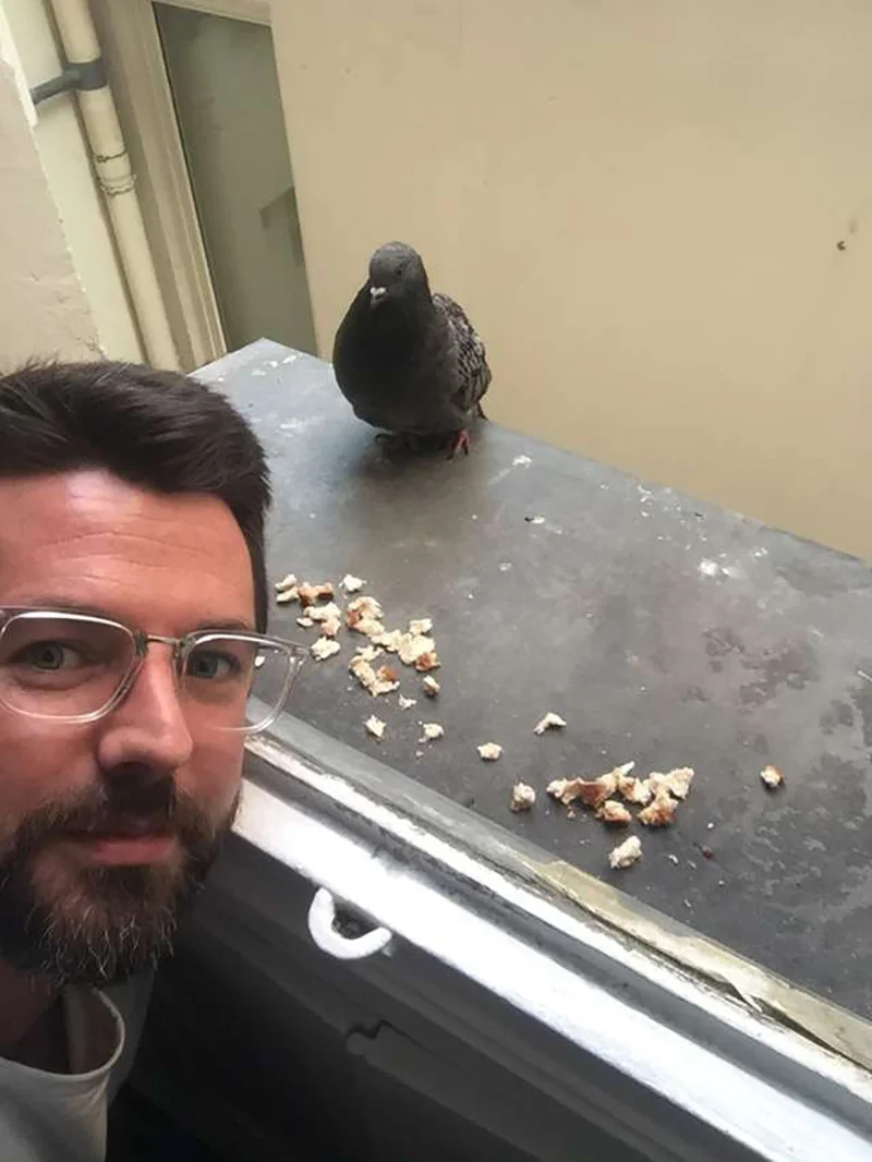 hombre ayuda a una paloma y se hace su amigo