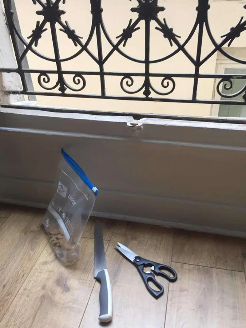 hombre ayuda a una paloma