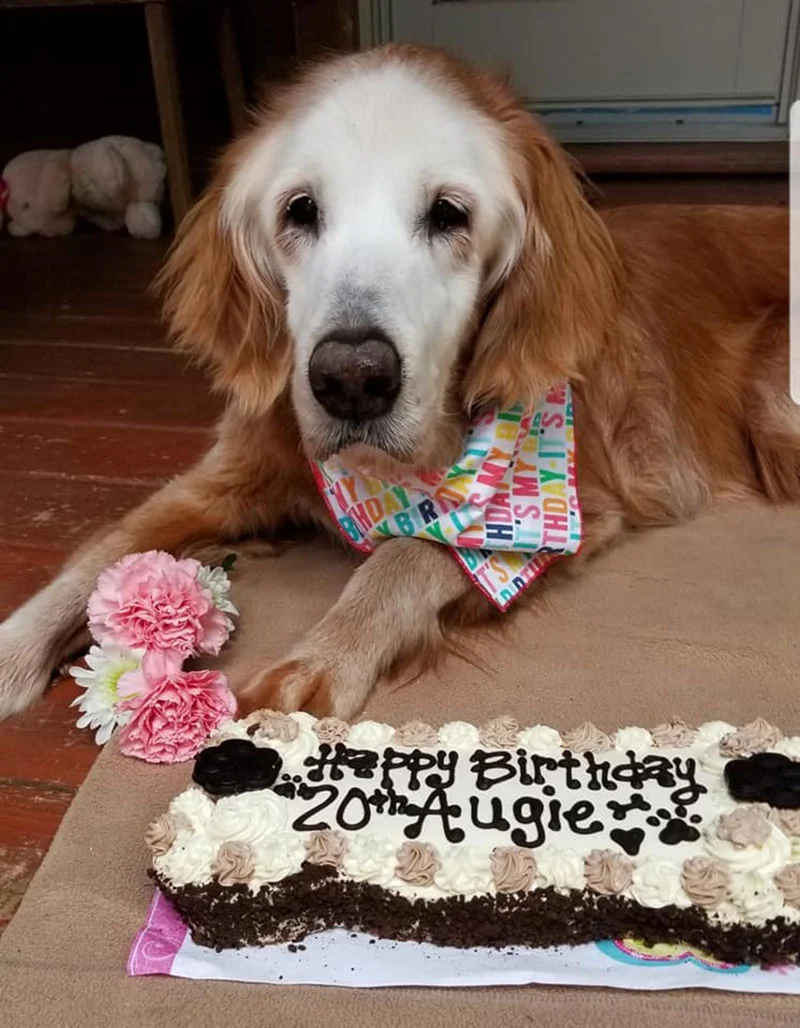 Augie de Tennessee cumple