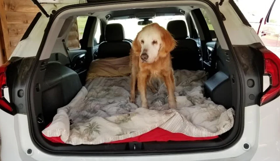 Augie en carro