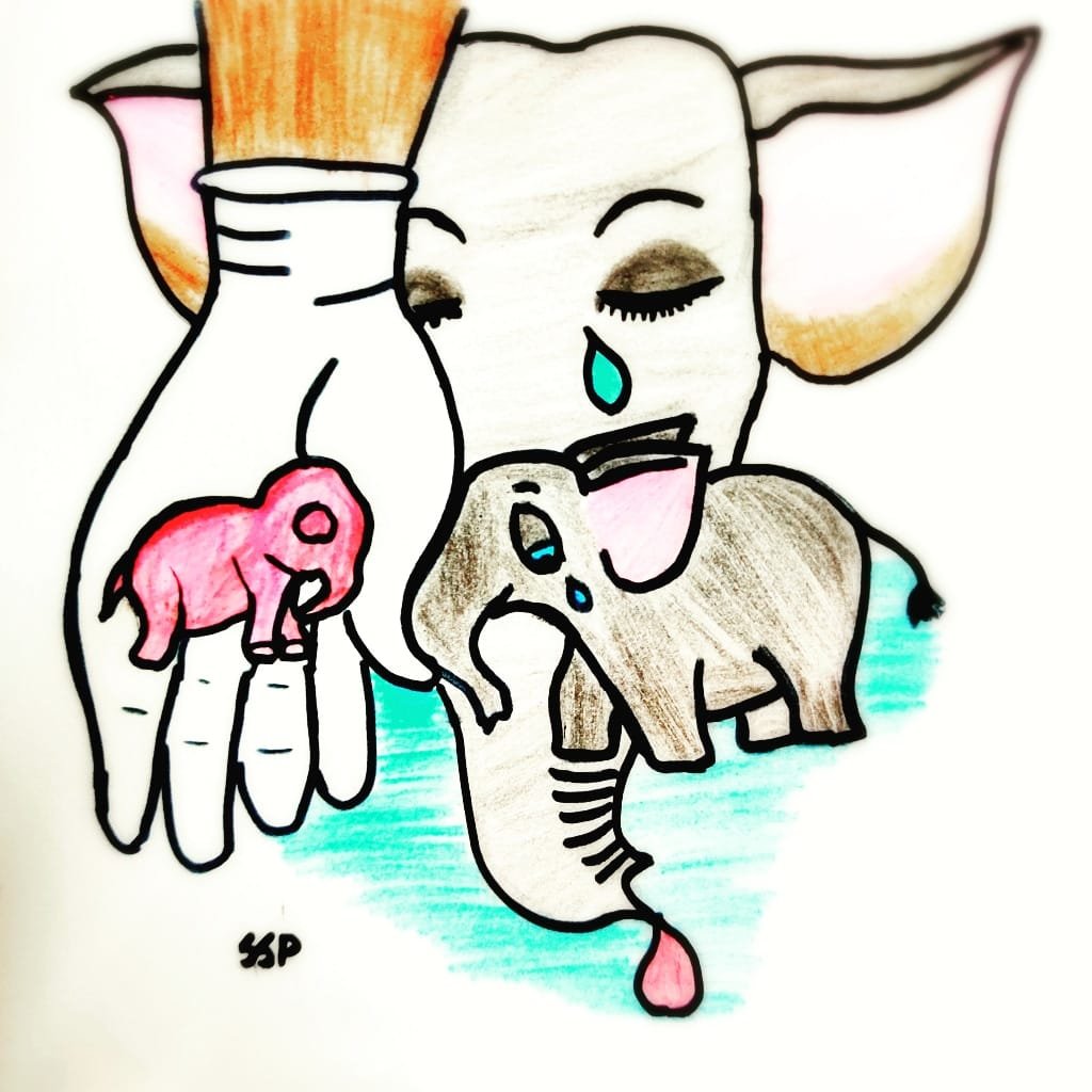 Dibujos elefante