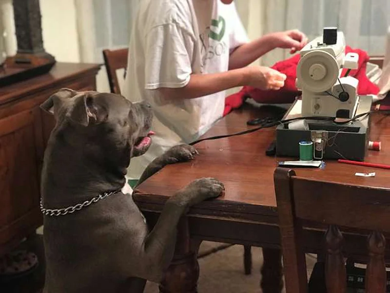 Draco esperando
