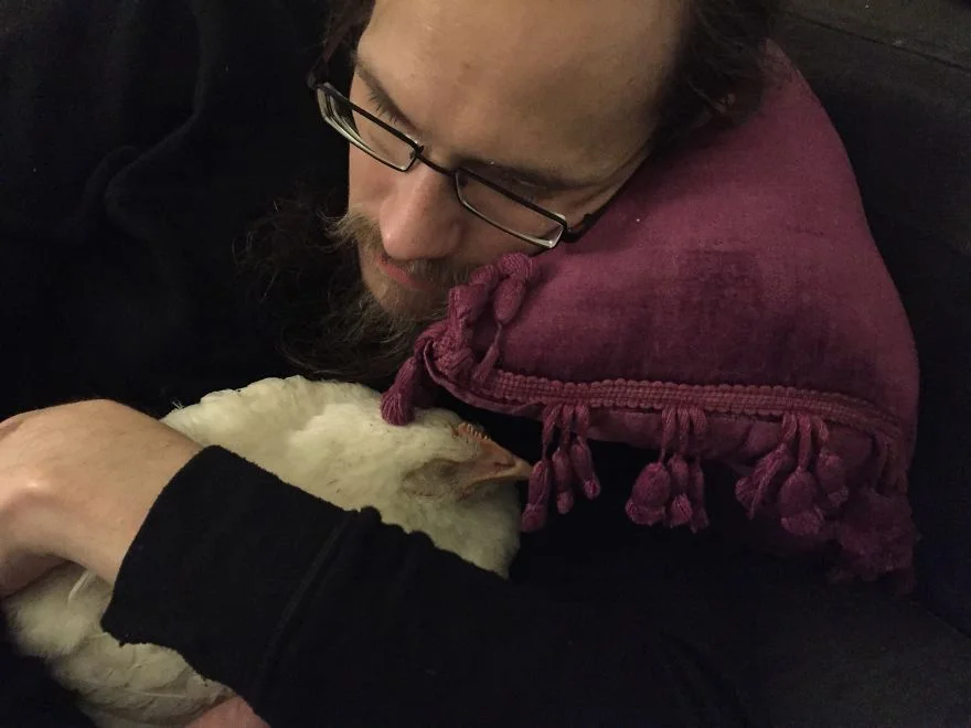 Duerme siesta victoria