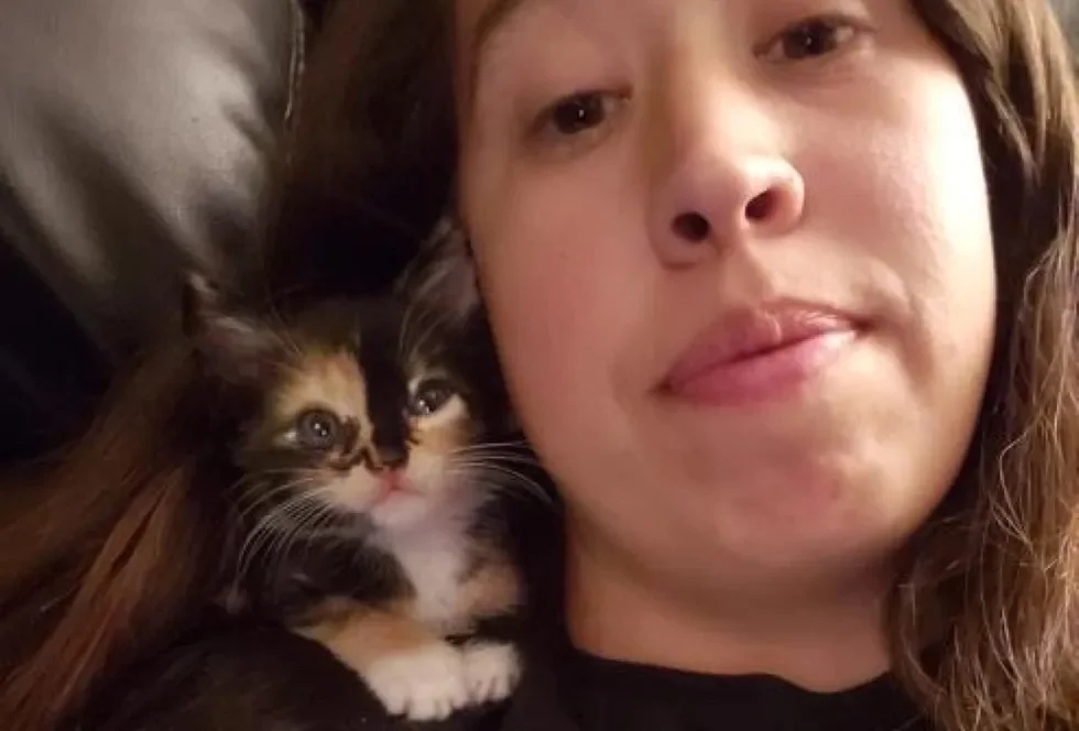 Gatita sin hogar madre