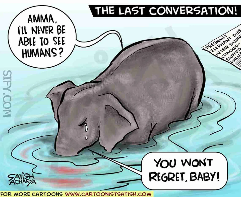 Homenaje elefante muerto