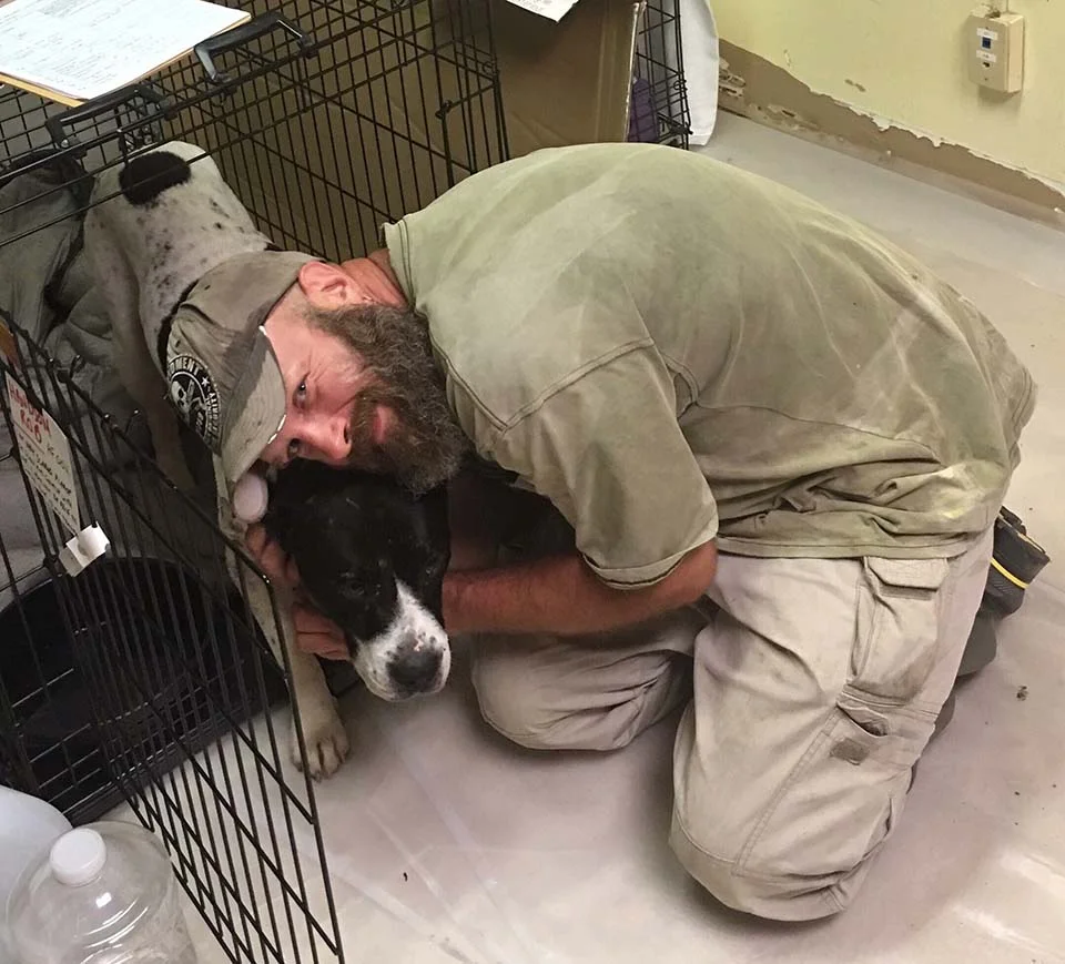 Hombre rescata perros