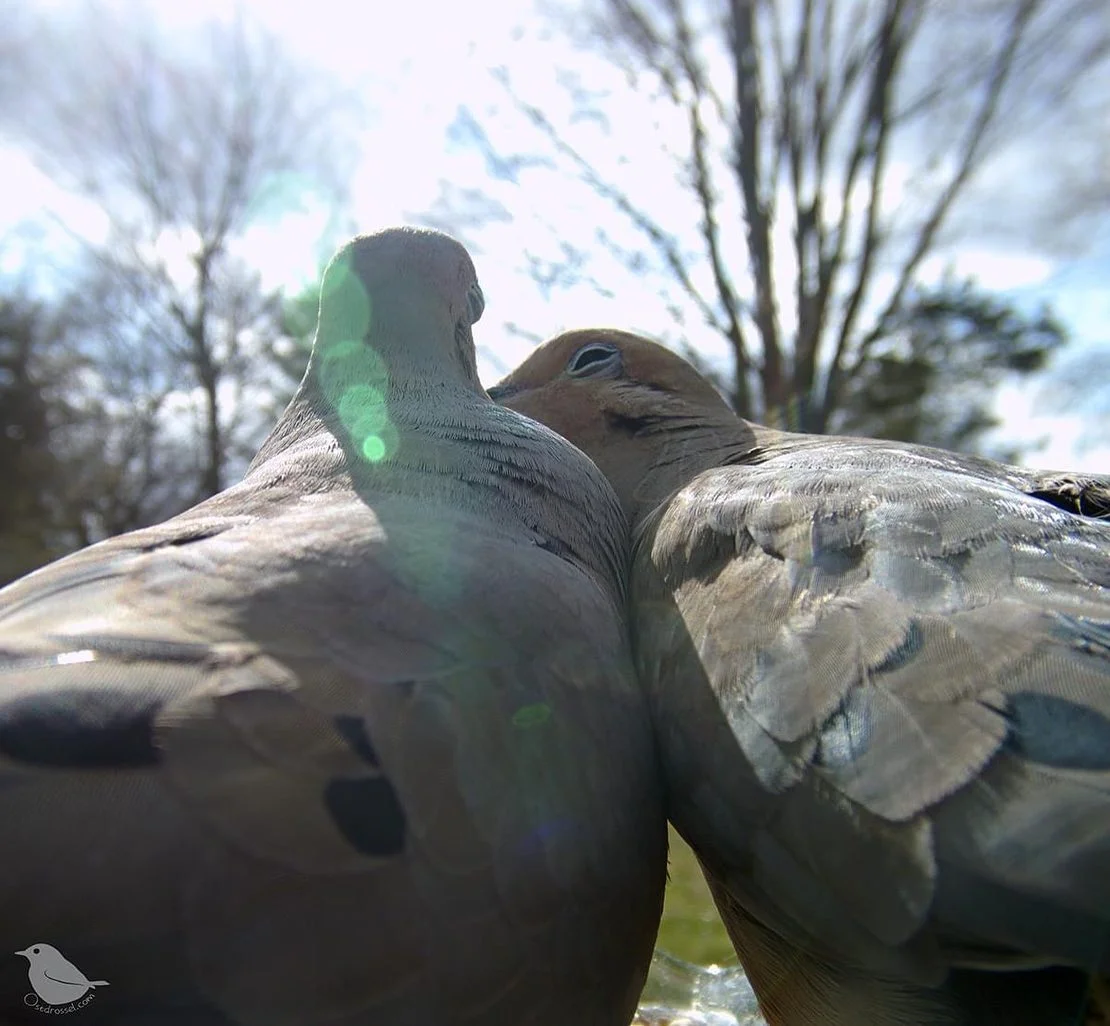 Instaló una cámara imagen