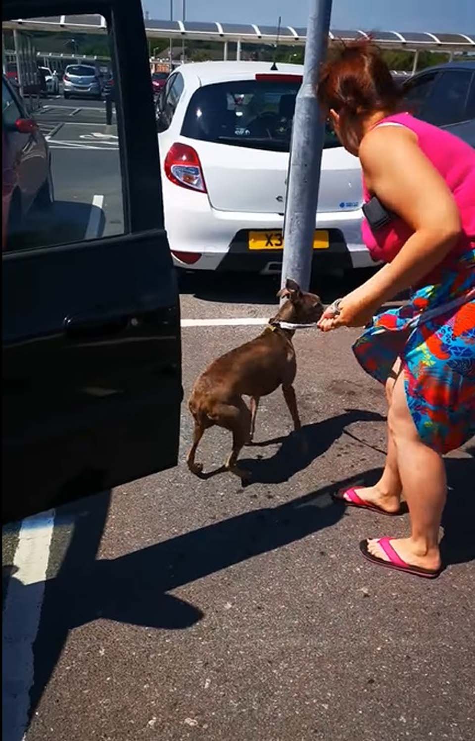 Mujer y perro rescatado