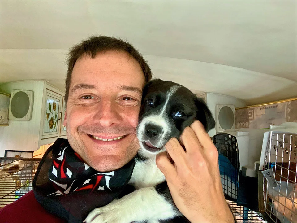 Perrito rescatado