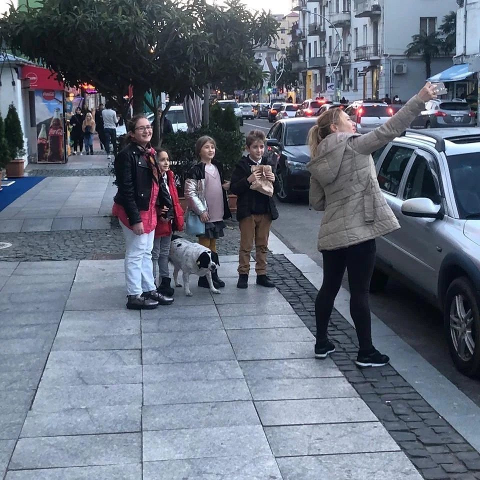 Perro detiene el tráfico 