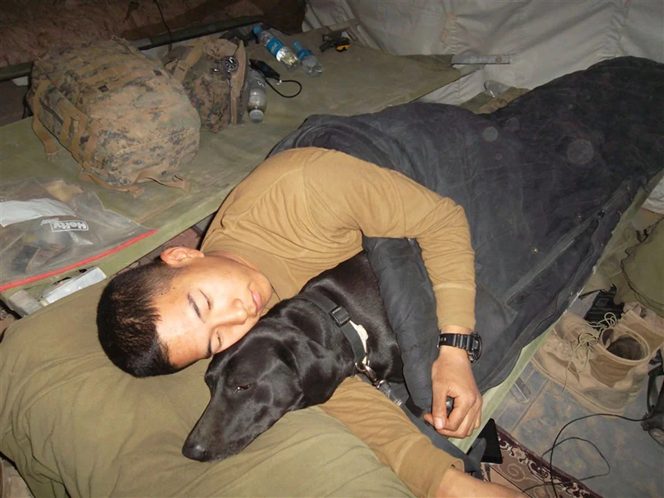 Perro y su mejor amigo