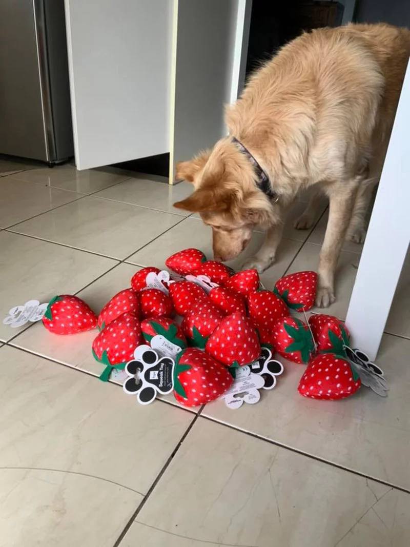 Regalo juguete favorito