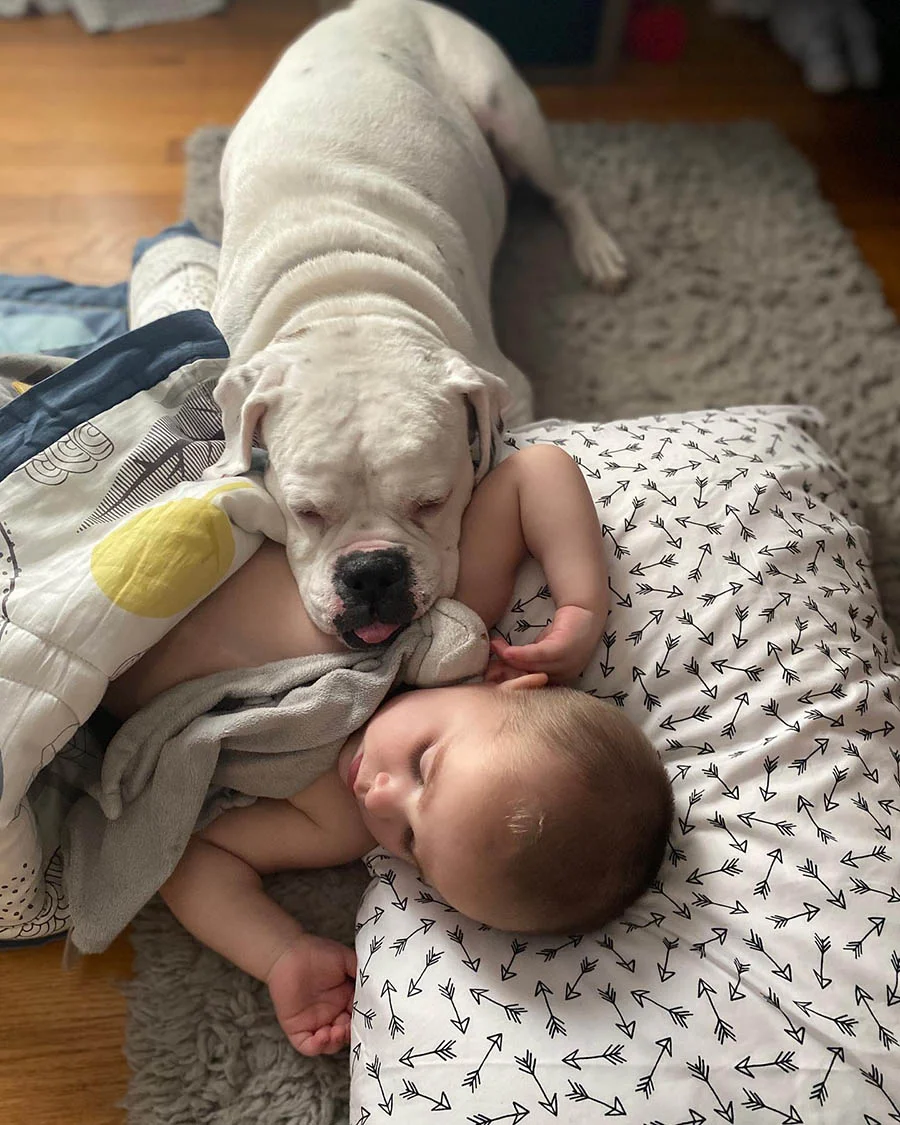 Cámara capta niño Brutus