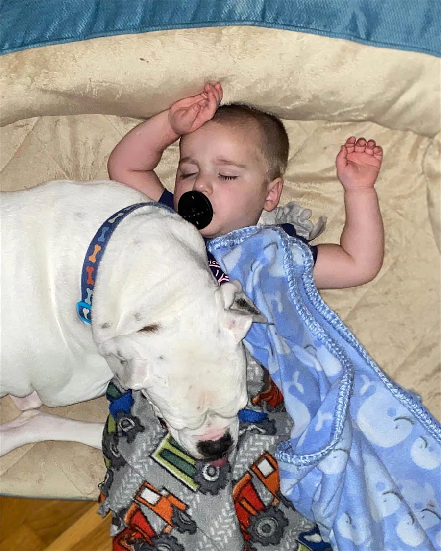Cámara capta niño durmiendo