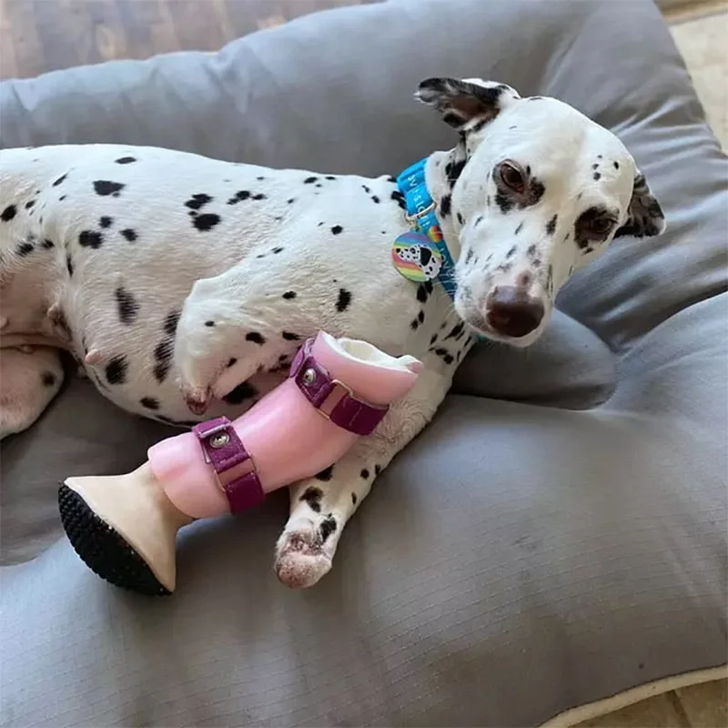 Emma con prótesis