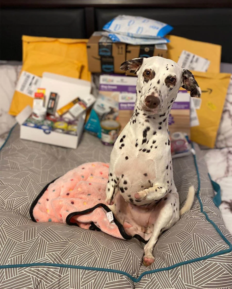 Emma recibiendo donaciones