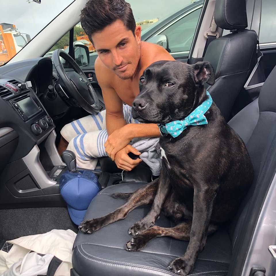 Humano y perro en el auto