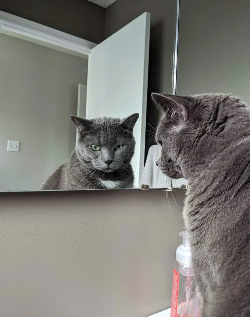 Loki se mira al espejo