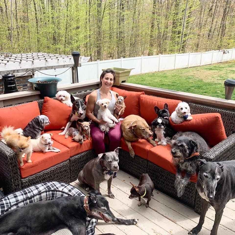 Mujer en sofá con muchos perros