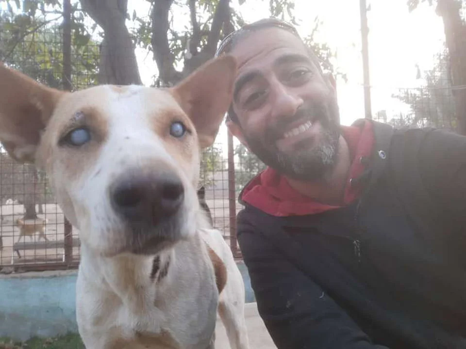 Perrito ciego con su amigo humano