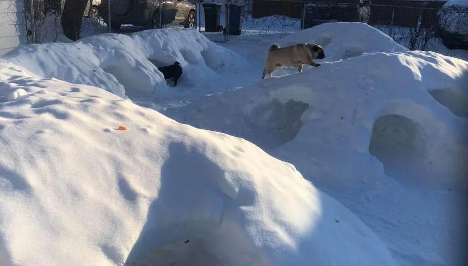Túneles paraíso invernal