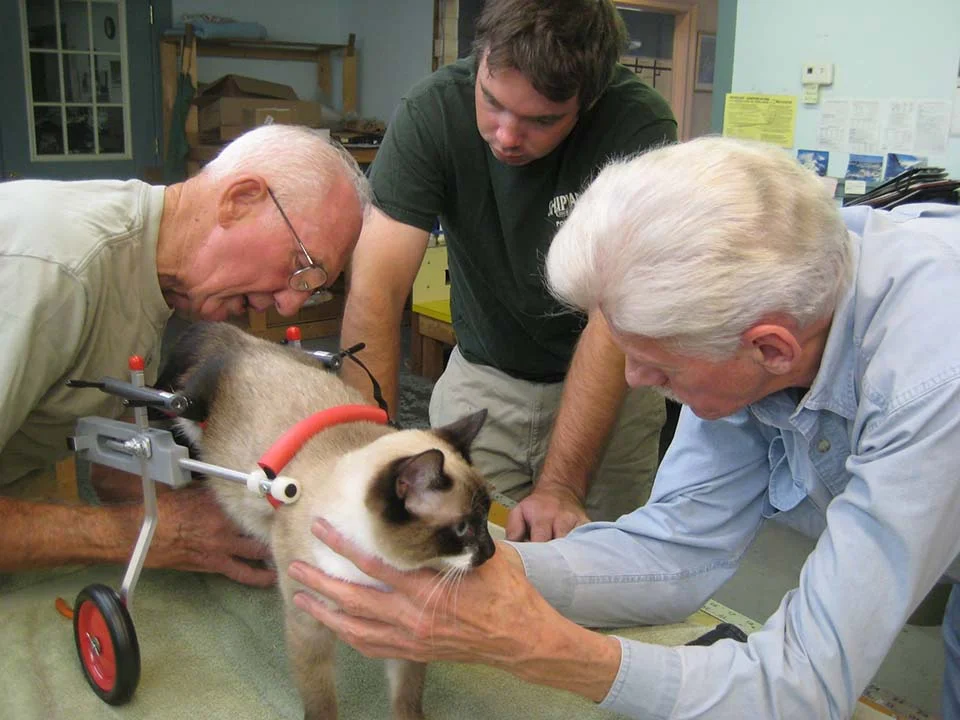 Veterinario jubilado