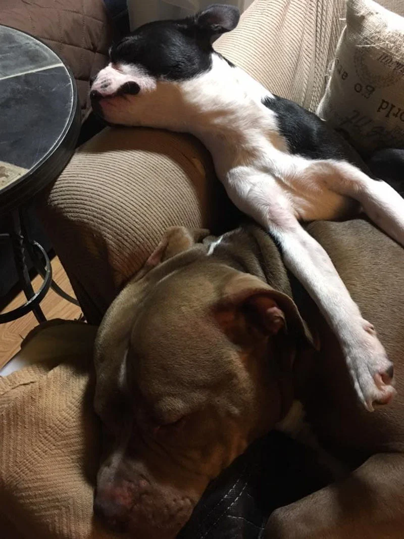 Charlie y su hermano