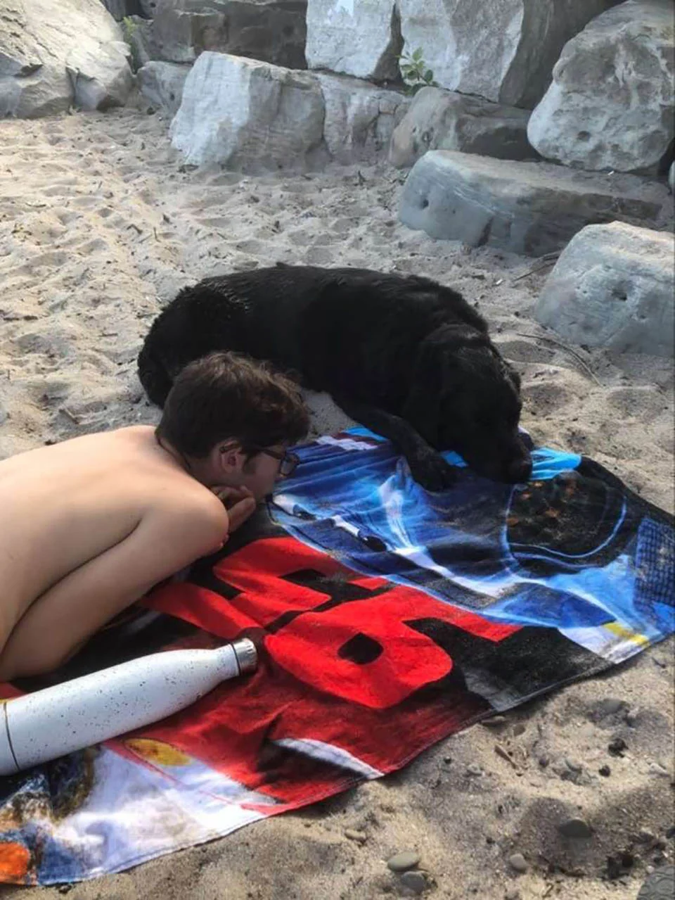 Chico y perro en la playa