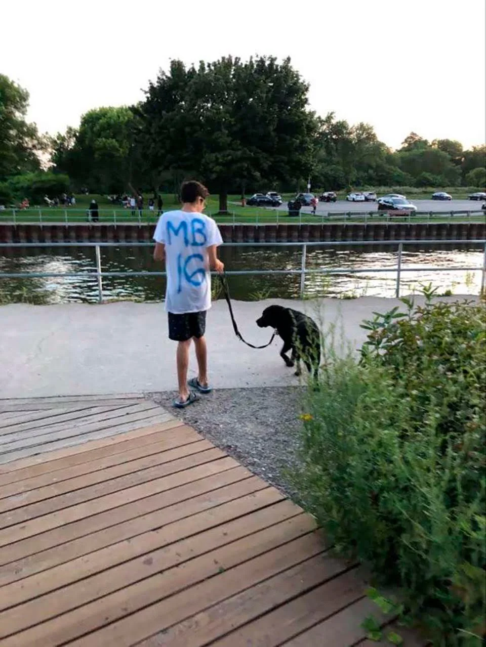 Chico y perro
