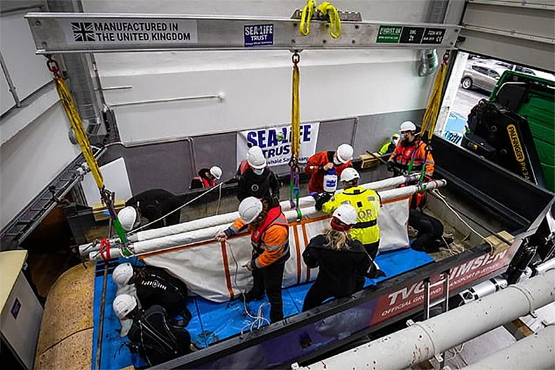 Equipo especializado