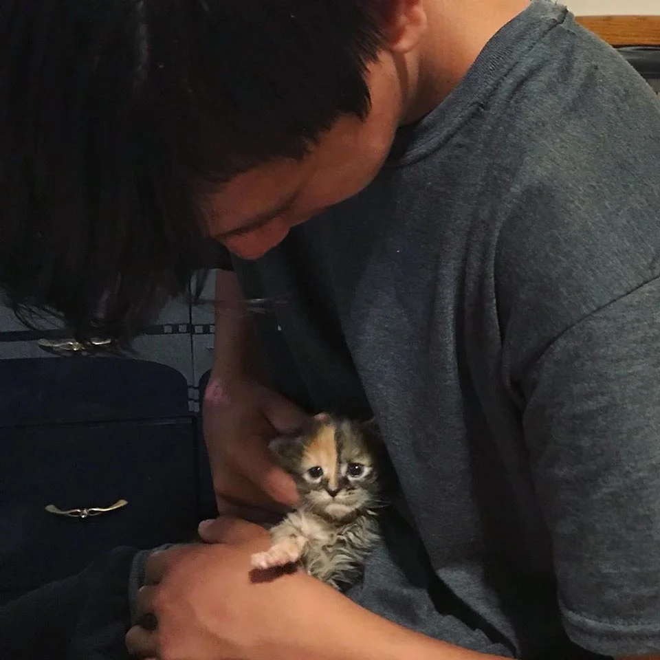 Gatito pequeño abraza a un joven