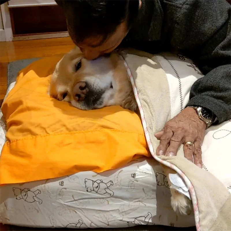 Papá no quería perrito