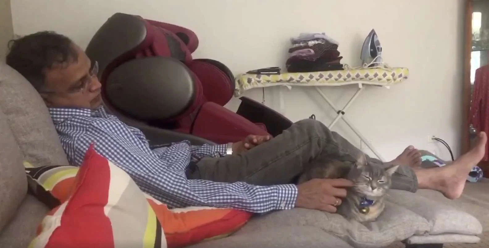 Gato exige que lo lleven en caja todas las noches