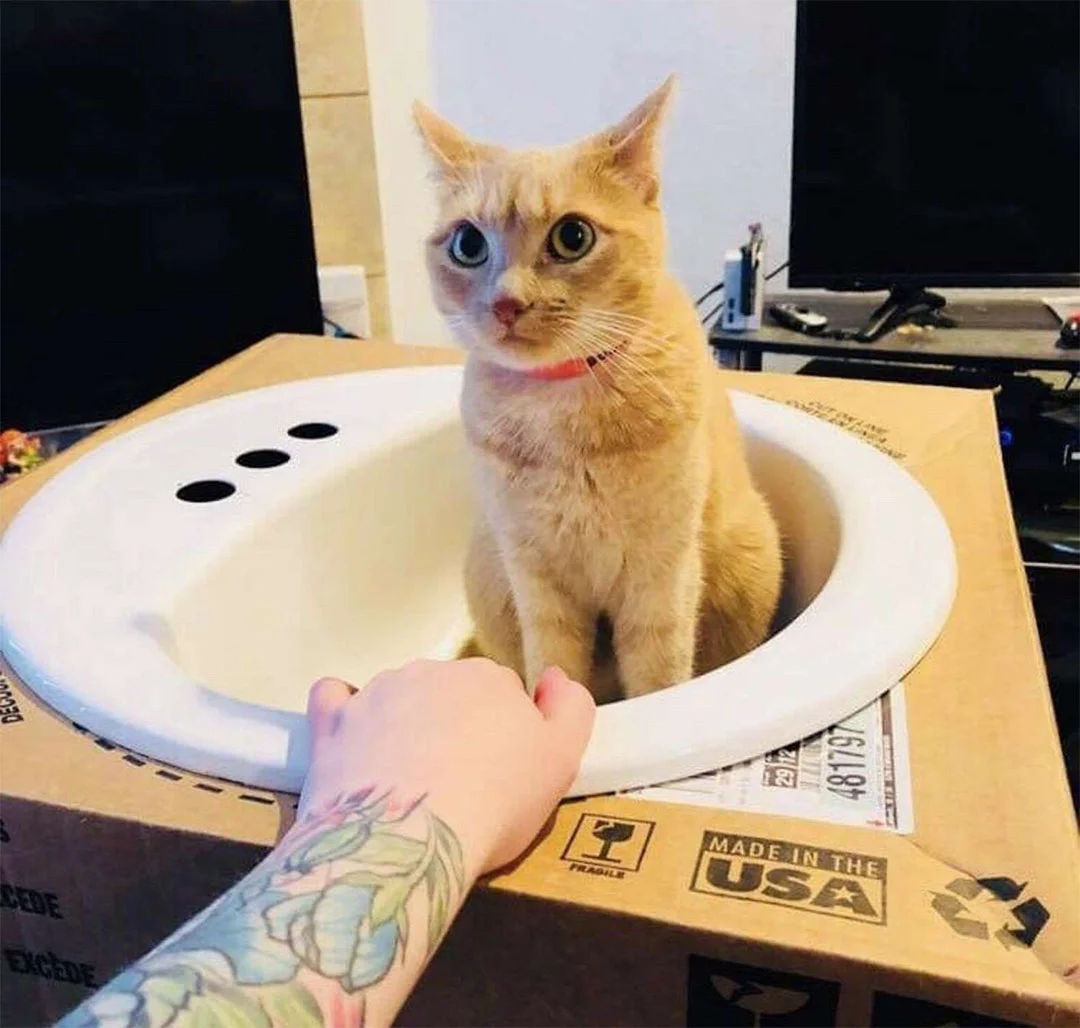Lavabo nuevo
