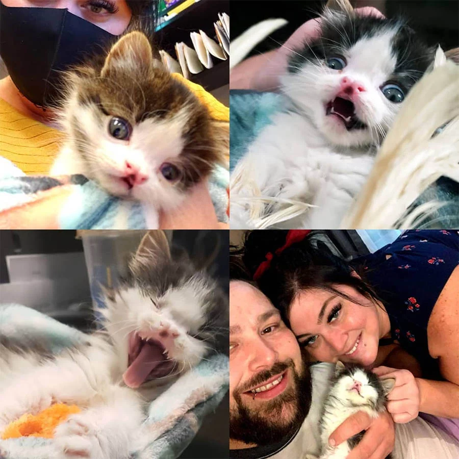 Penelope y familia