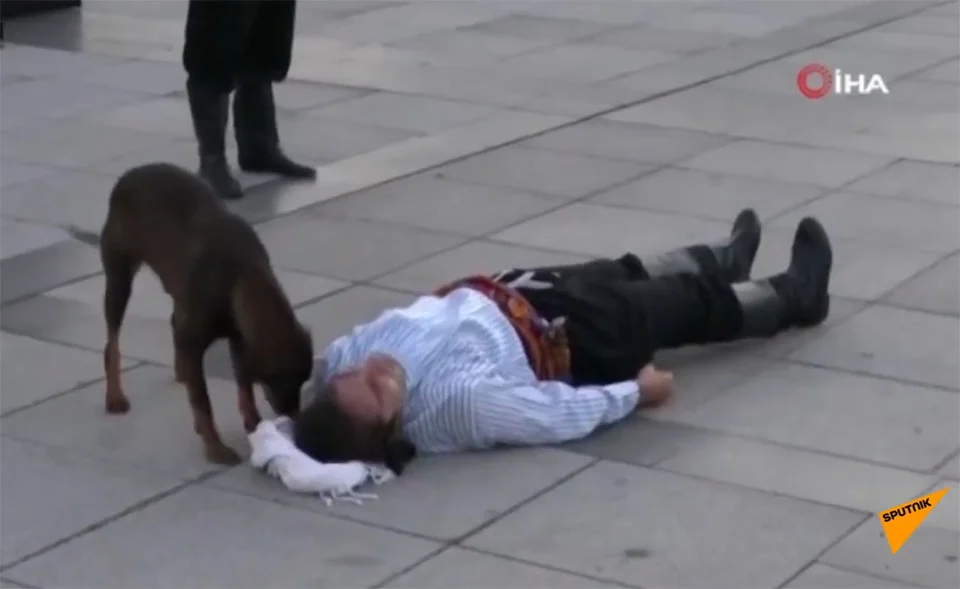 Perro irrumpe obra