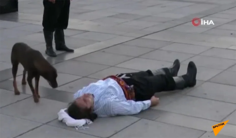 Perro sin hogar