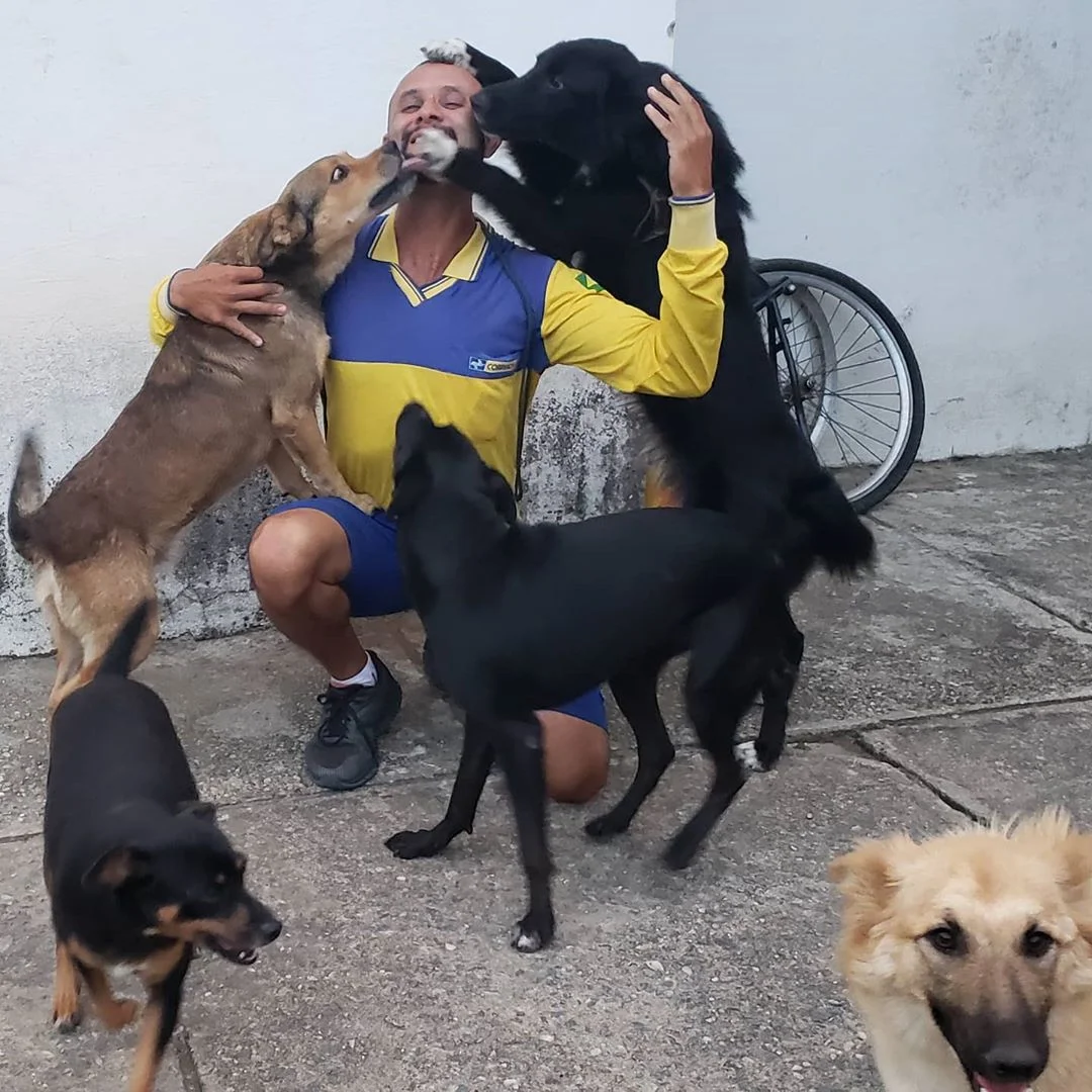 Perros felices abrazando a hombre
