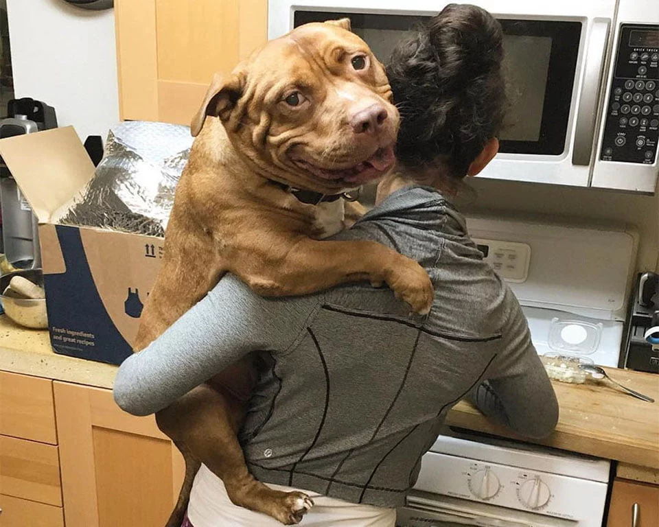 Mamá abraza a Meaty